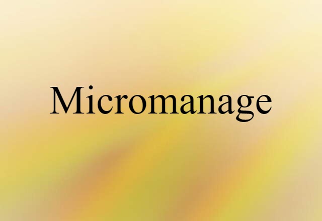 Micromanage (noun) Definition, Meaning & Examples