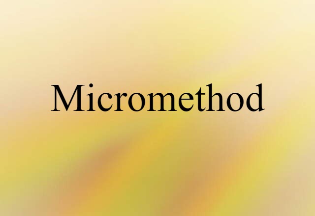 Micromethod (noun) Definition, Meaning & Examples