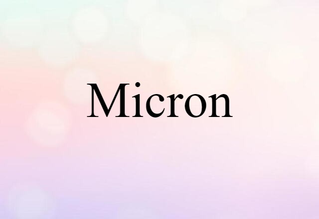 Micron (noun) Definition, Meaning & Examples