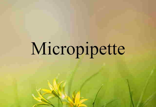 Micropipette (noun) Definition, Meaning & Examples