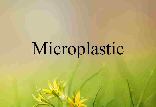 microplastic