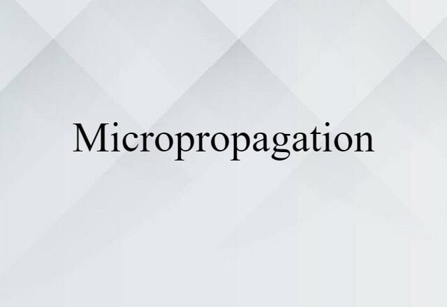 micropropagation