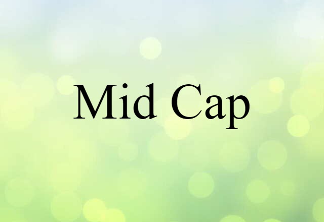 Mid-cap (noun) Definition, Meaning & Examples