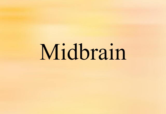 midbrain