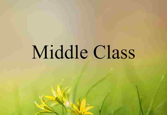 Middle Class (noun) Definition, Meaning & Examples