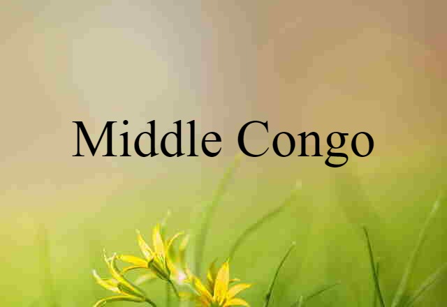 Middle Congo (noun) Definition, Meaning & Examples