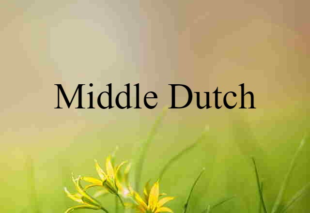 Middle Dutch