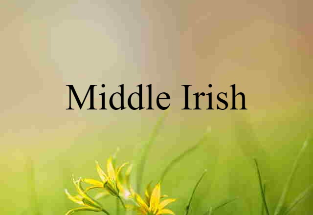 Middle Irish