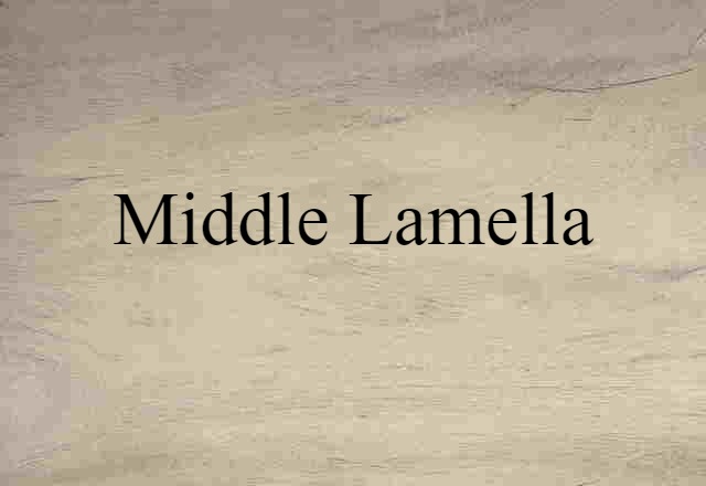 middle lamella