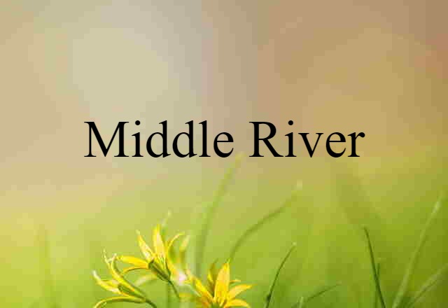 Middle River (noun) Definition, Meaning & Examples