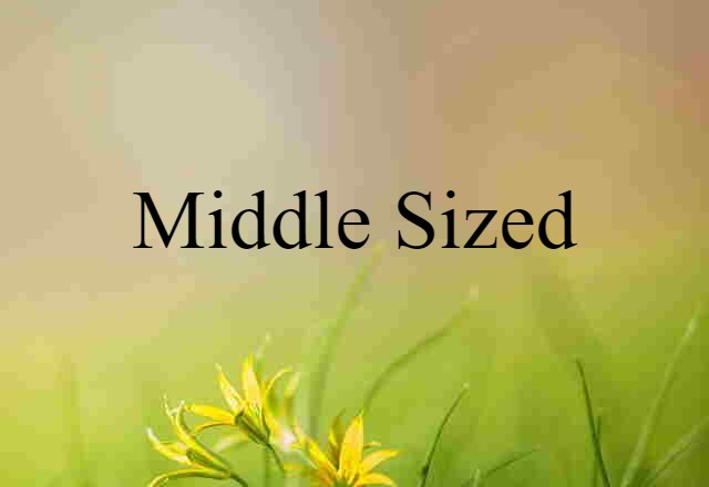 Middle-sized (noun) Definition, Meaning & Examples