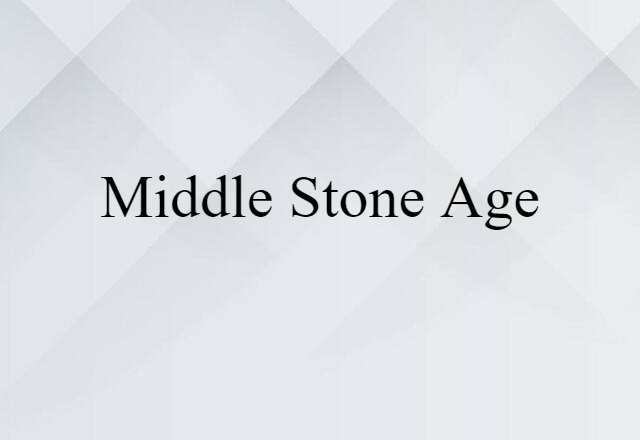 Middle Stone Age (noun) Definition, Meaning & Examples