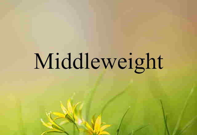 Middleweight (noun) Definition, Meaning & Examples