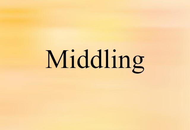 Middling (noun) Definition, Meaning & Examples