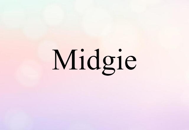 Midgie (noun) Definition, Meaning & Examples