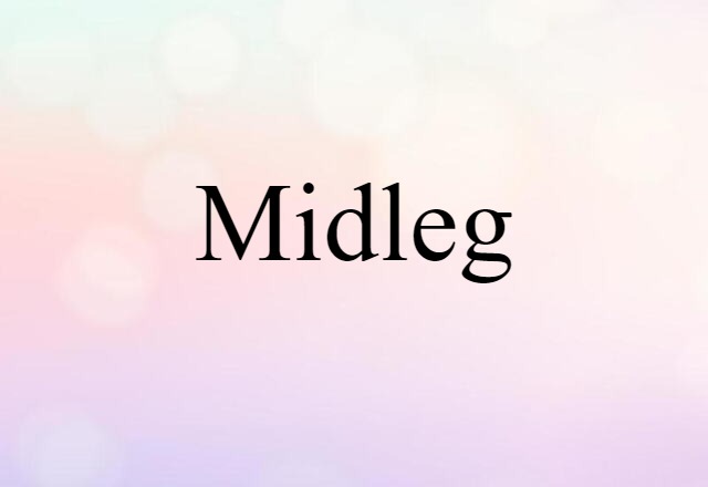 Midleg (noun) Definition, Meaning & Examples