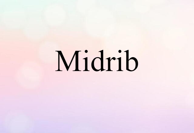 Midrib (noun) Definition, Meaning & Examples