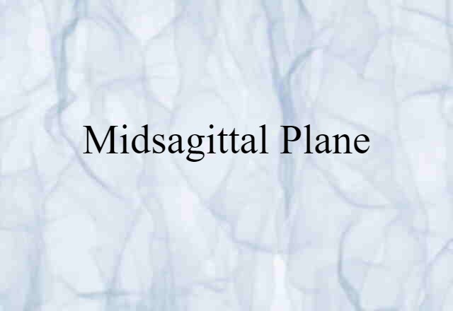 midsagittal plane