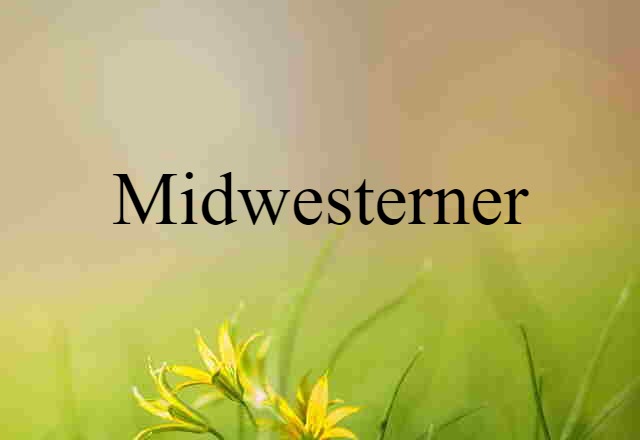 Midwesterner