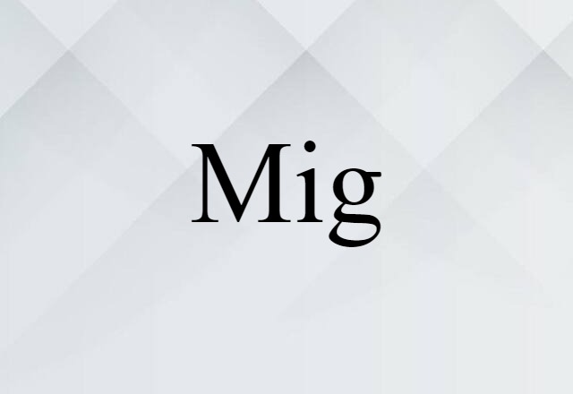 Mig (noun) Definition, Meaning & Examples