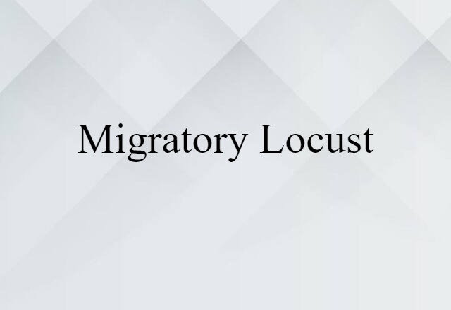 Migratory Locust (noun) Definition, Meaning & Examples