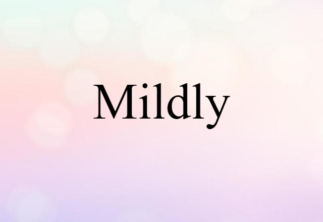 Mildly (noun) Definition, Meaning & Examples