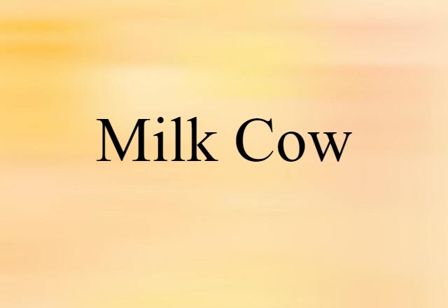 milk cow