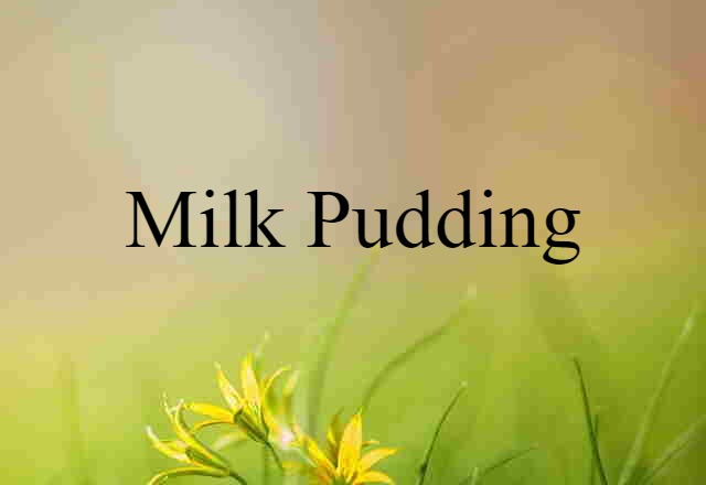 milk pudding