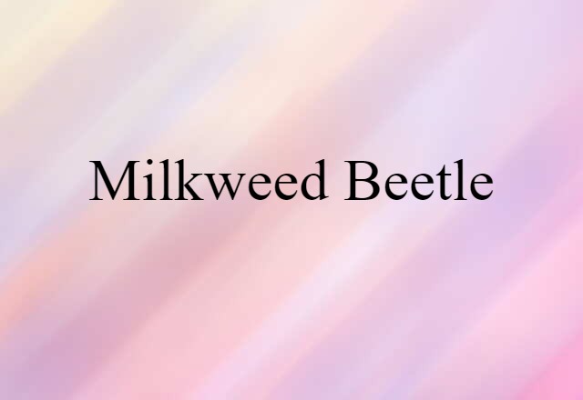 milkweed beetle