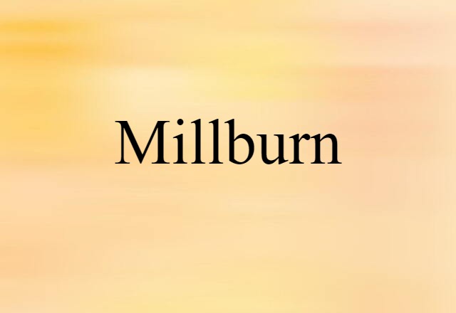 Millburn (noun) Definition, Meaning & Examples