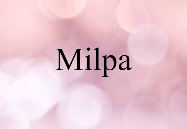 Milpa (noun) Definition, Meaning & Examples