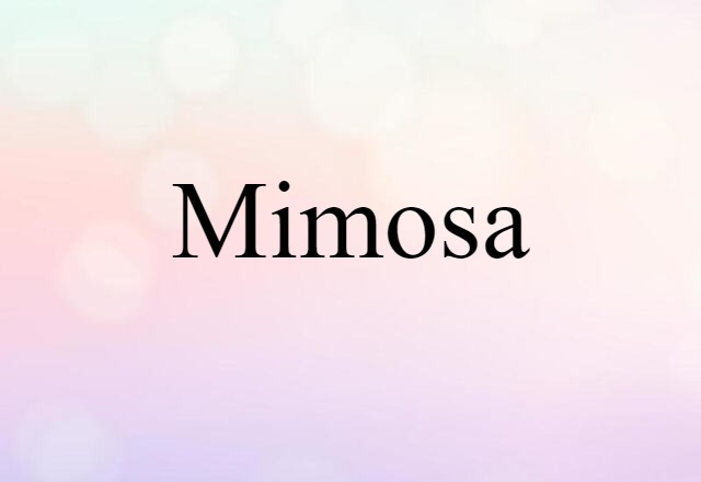 mimosa