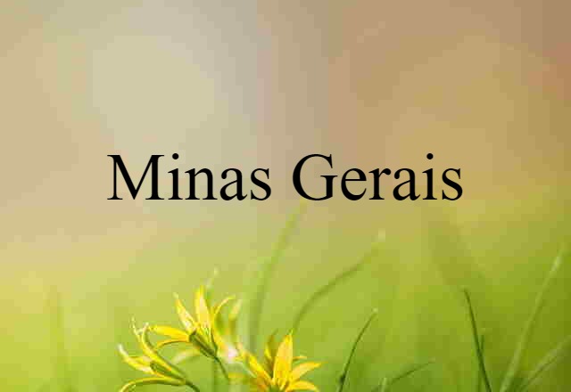 Minas Gerais (noun) Definition, Meaning & Examples