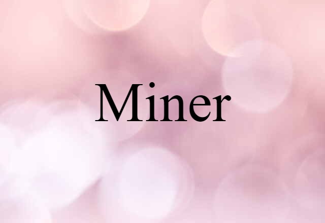 Miner (noun) Definition, Meaning & Examples