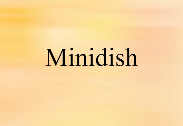 Minidish (noun) Definition, Meaning & Examples