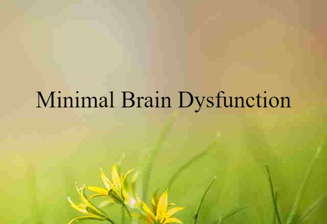 minimal brain dysfunction