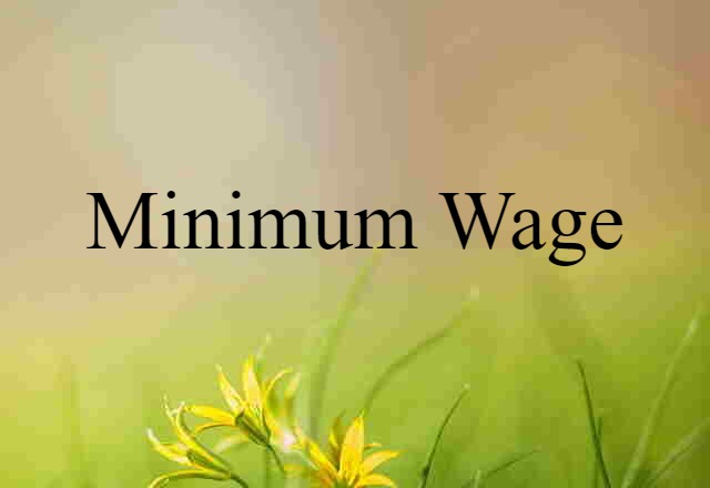 Minimum Wage (noun) Definition, Meaning & Examples