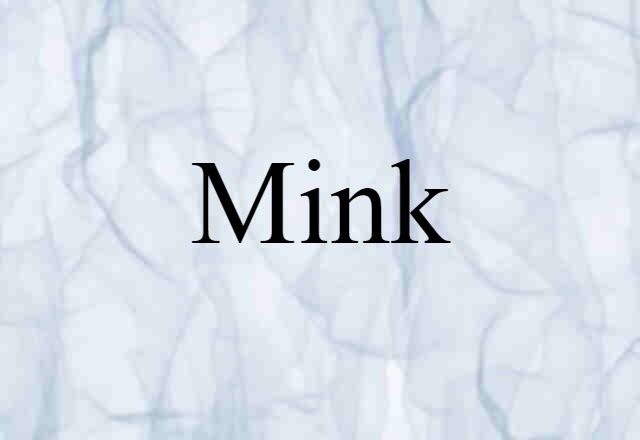 Mink (noun) Definition, Meaning & Examples