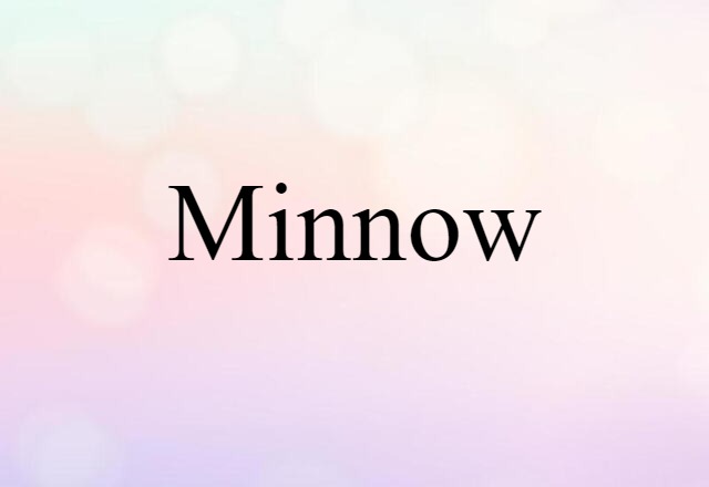 minnow