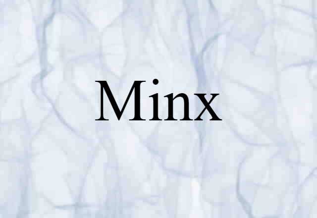 Minx (noun) Definition, Meaning & Examples