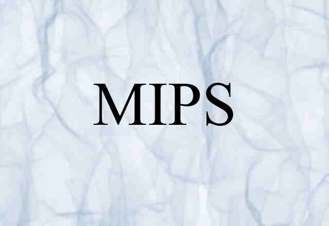 MIPS (noun) Definition, Meaning & Examples