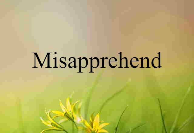 misapprehend