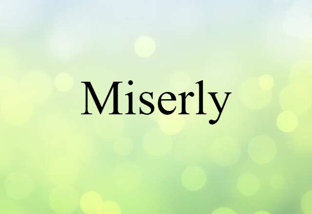 Miserly (noun) Definition, Meaning & Examples