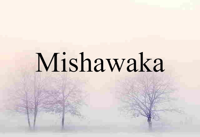 Mishawaka (noun) Definition, Meaning & Examples