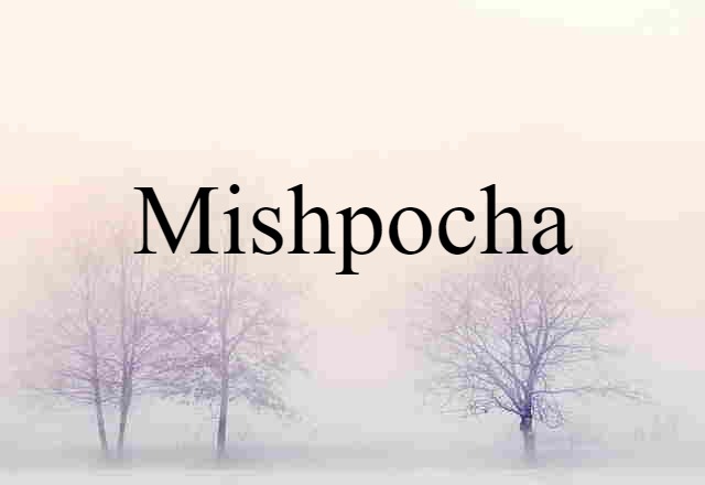 Mishpocha (noun) Definition, Meaning & Examples