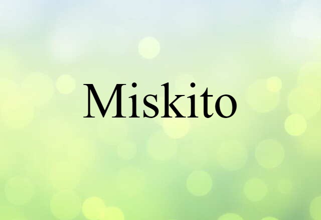 Miskito (noun) Definition, Meaning & Examples