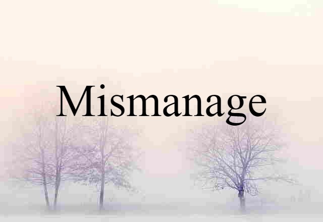 Mismanage (noun) Definition, Meaning & Examples