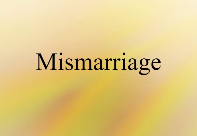 Mismarriage (noun) Definition, Meaning & Examples