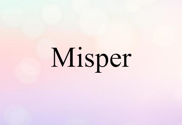 Misper (noun) Definition, Meaning & Examples