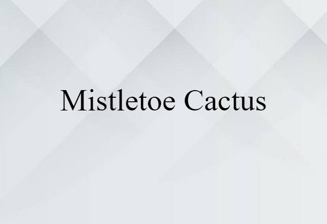 mistletoe cactus